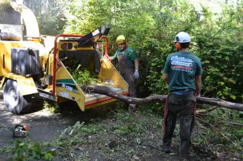 tree services Gulf Shores